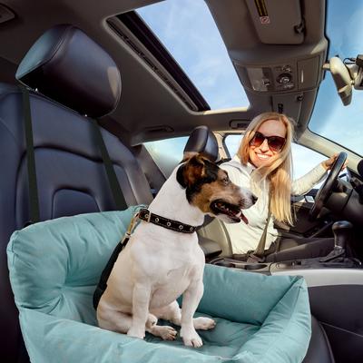 Show full view: Precious Tails Seat Belt Compatible Travel Bolster Cat & Dog Bed, Aqua, Medium slide 7 of 9