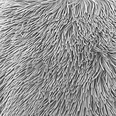 Show full view: Precious Tails Super Lux Shaggy Fur Bolster Cat & Dog Bed, Ice Gray, Large slide 4 of 10