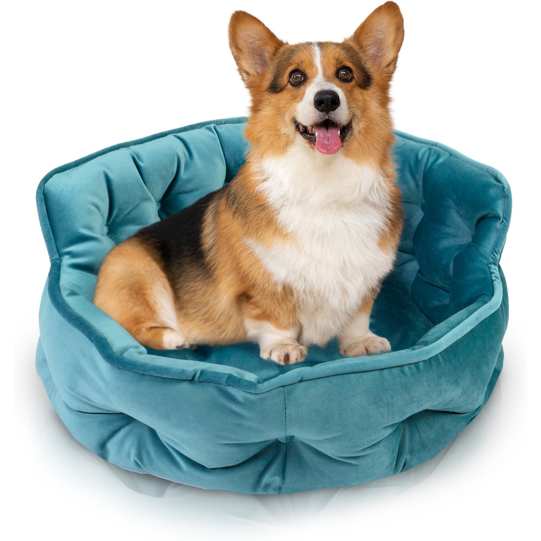 Precious Tails Ultra Plush Mini Tufted Velvet Round Bolster Cat & Dog Bed, Teal
