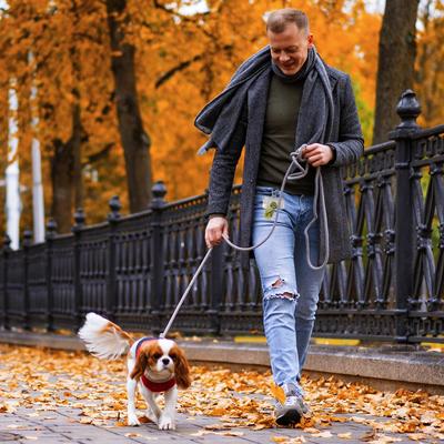 Show full view: Precious Tails Unscented Dog Poop Bags with Dispenser, 100 count slide 8 of 8