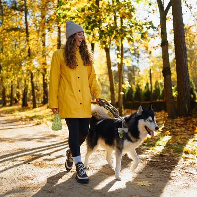 Show full view: Precious Tails Unscented Dog Poop Bags with Dispenser, 100 count slide 7 of 8