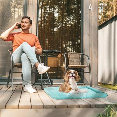 Show full view: Precious Tails Xtra Tuff Dog Crate Mat, Aqua, Large slide 4 of 10