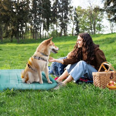 Show full view: Precious Tails Xtra Tuff Dog Crate Mat, Aqua, Large slide 6 of 10