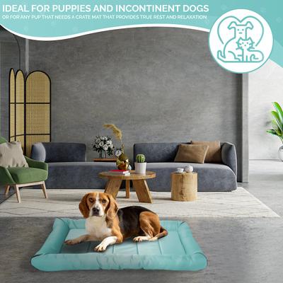 Show full view: Precious Tails Xtra Tuff Dog Crate Mat, Aqua, Large slide 9 of 10