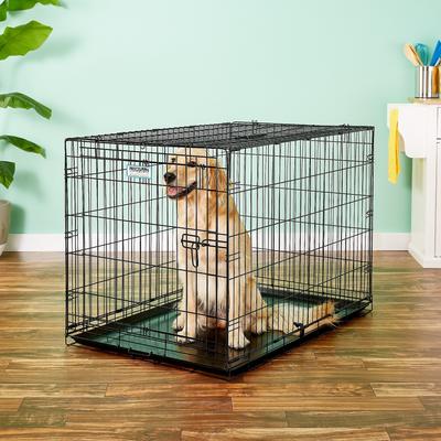 Show full view: Precision Pet Products Provalu Single Door Collapsible Wire Dog Crate, 42 inch slide 1 of 9