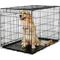Show in main carousel: Precision Pet Products Provalu Single Door Collapsible Wire Dog Crate, 42 inch slide 4 of 9