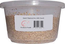 Predator Foods Live Giant Mealworms Reptile Food, 100 count