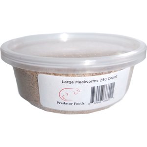 Predator Foods Live Mealworms, Large, 250 count