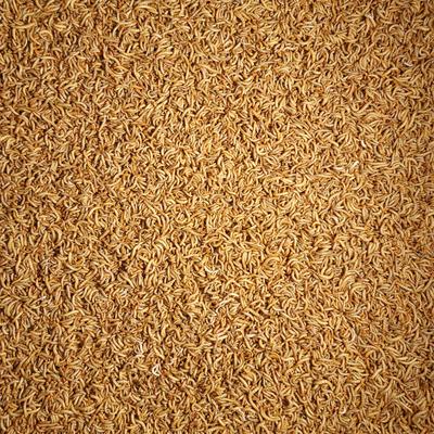 Show full view: Predator Foods Live Mealworms, Large, 250 count slide 4 of 5