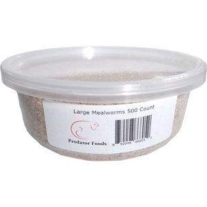 Predator Foods Live Mealworms, Large, 500 count
