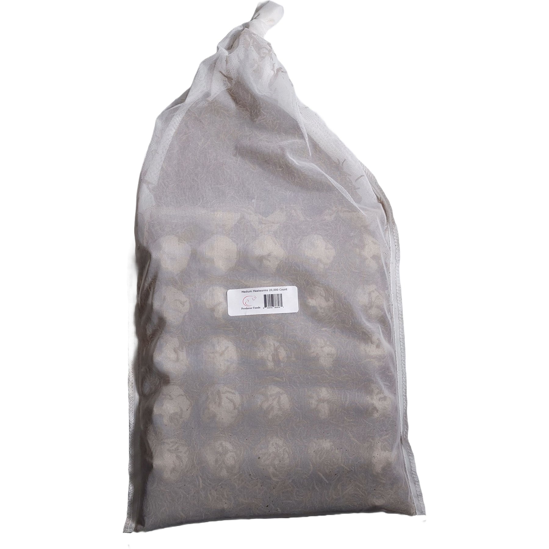 Predator Foods Live Mealworms, Medium, 20,000 count