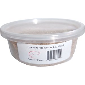Predator Foods Live Mealworms, Medium, 250 count