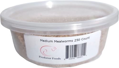 Show full view: Predator Foods Live Mealworms, Medium, 250 count slide 1 of 4