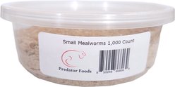 Predator Foods Live Mealworms, Small, 1,000 count