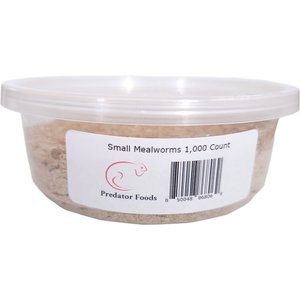 Predator Foods Live Mealworms, Small, 1,000 count