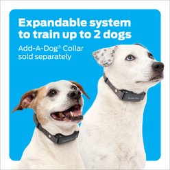 Premier Pet 1000-ft with Rechargeable Battery Dog Remote Training Collar, Gray slide 2 of 6