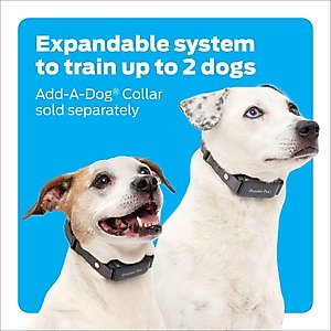 Premier Pet 1000-ft with Rechargeable Battery Dog Remote Training Collar, Gray