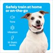 Show in main carousel: Premier Pet 1000-ft with Rechargeable Battery Dog Remote Training Collar, Gray slide 2 of 8