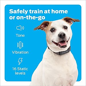 Premier Pet 1000-ft with Rechargeable Battery Dog Remote Training Collar, Gray