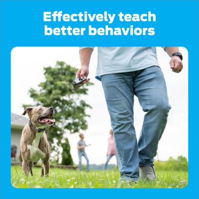 Show full view: Premier Pet 1000-ft with Rechargeable Battery Dog Remote Training Collar, Gray slide 3 of 8