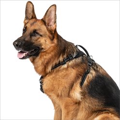 Premier Pet Comfort Reflective No Pull Dog Harness, Large: 23 to 35-in chest