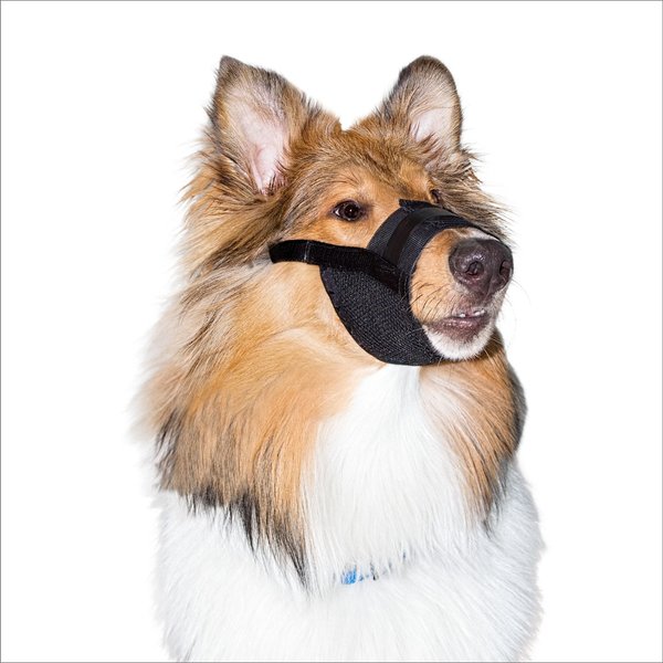 PREMIER PET Training Dog Muzzle, Large