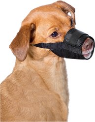 Premier Pet Training Dog Muzzle, Medium