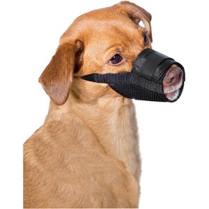 Premier Pet Training Dog Muzzle, Medium