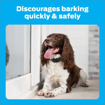 Show full view: Premier Pet Waterproof Dog Bark Collar with Digital Display, Gray slide 5 of 9