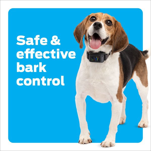 Show full view: Premier Pet Waterproof Dog Bark Collar with Digital Display, Gray slide 2 of 8
