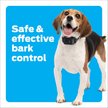 Show in main carousel: Premier Pet Waterproof Dog Bark Collar with Digital Display, Gray slide 2 of 8