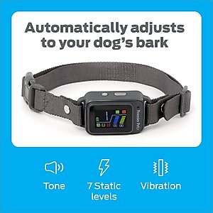 Premier Pet Waterproof Dog Bark Collar with Digital Display, Gray