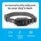 Show in main carousel: Premier Pet Waterproof Dog Bark Collar with Digital Display, Gray slide 4 of 9