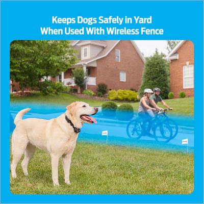 Show full view: Premier Pet Wireless Fence Add-A-Dog Dog Collar, Black slide 3 of 8