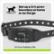Show in main carousel: Premier Pet Wireless GPS Dog Fence Collar, Black slide 5 of 8