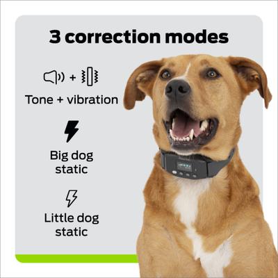Show full view: Premier Pet Wireless GPS Dog Fence Collar, Black slide 4 of 8