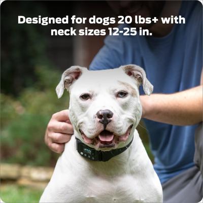 Show full view: Premier Pet Wireless GPS Dog Fence Collar, Black slide 6 of 8