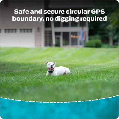 Show full view: Premier Pet Wireless GPS Dog Fence Collar, Black slide 2 of 8