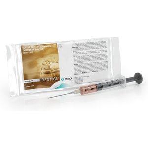 PRESTIGE 2 Vaccine for Horses, 1-mL syringe
