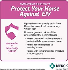 PRESTIGE 2 Vaccine for Horses, 10-mL vial slide 2 of 9