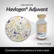 Show in main carousel: PRESTIGE 2 Vaccine for Horses, 10-mL vial slide 3 of 9
