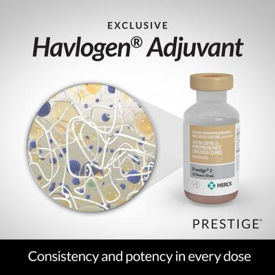 Show full view: PRESTIGE 2 Vaccine for Horses, 10-mL vial slide 3 of 9