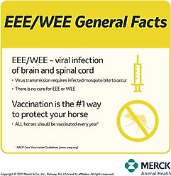 PRESTIGE 3 Vaccine for Horses, 10-mL vial slide 2 of 6
