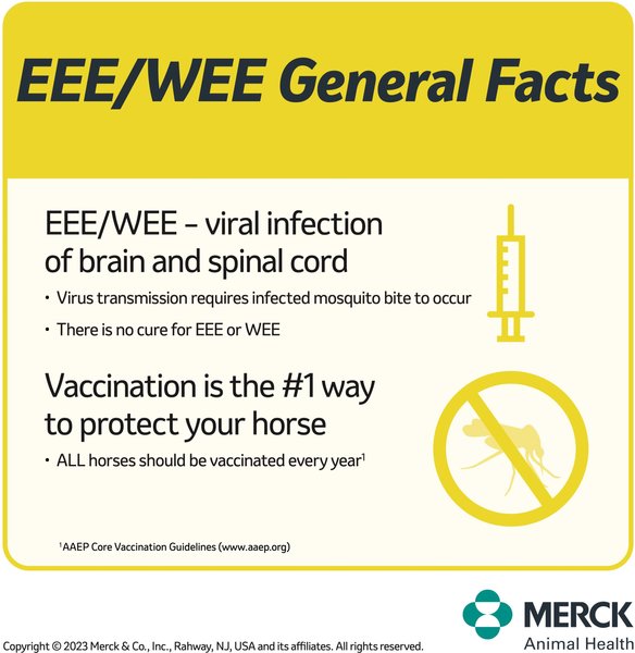 Show full view: PRESTIGE 3 + WNV Vaccine for Horses, 1-mL syringe slide 5 of 10