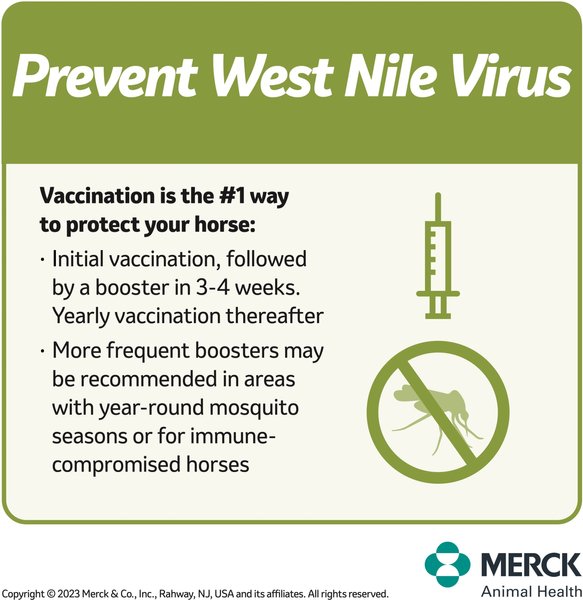 Show full view: PRESTIGE 3 + WNV Vaccine for Horses, 1-mL syringe slide 4 of 10