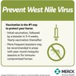 Show in main carousel: PRESTIGE 3 + WNV Vaccine for Horses, 1-mL syringe slide 4 of 10