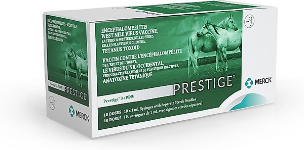 Show full view: PRESTIGE 3 + WNV Vaccine for Horses, 1-mL syringe slide 2 of 10