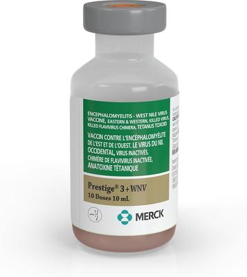 Show full view: PRESTIGE 3 + WNV Vaccine for Horses, 10-mL vial slide 1 of 8