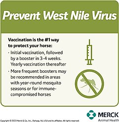 PRESTIGE 3 + WNV Vaccine for Horses, 10-mL vial slide 2 of 7