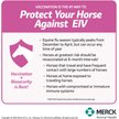 Show in main carousel: PRESTIGE 4 Vaccine for Horses, 1-mL syringe slide 4 of 9